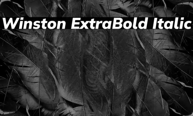 Winston ExtraBold Italic Font examples