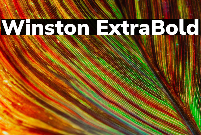 Winston ExtraBold Example 1