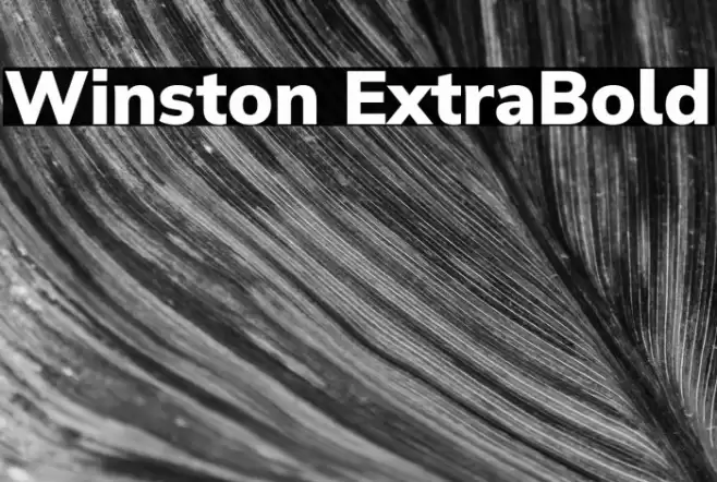 Winston ExtraBold Font examples