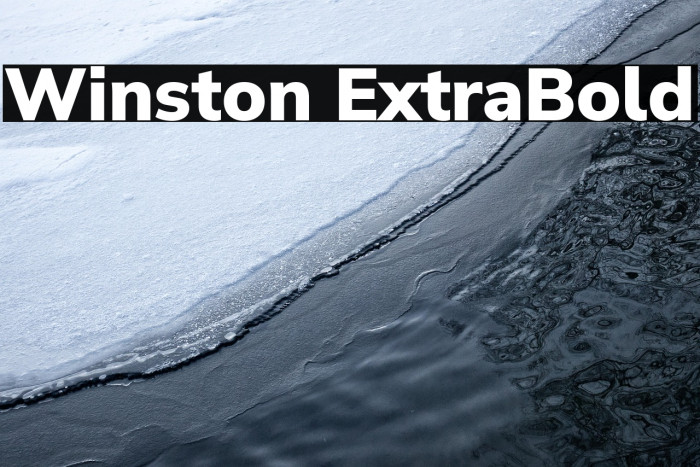 Winston ExtraBold Example 2