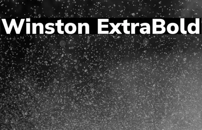 Winston ExtraBold Font examples