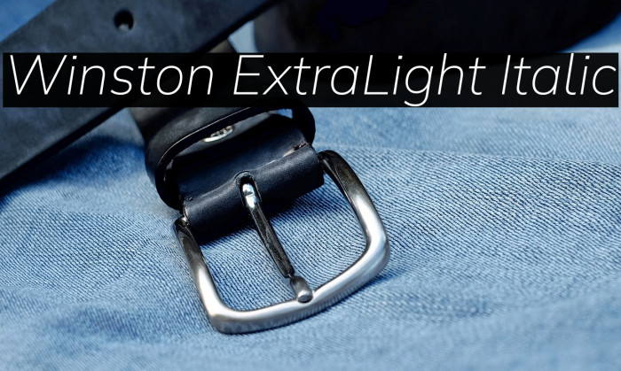 Winston ExtraLight Italic Example 2