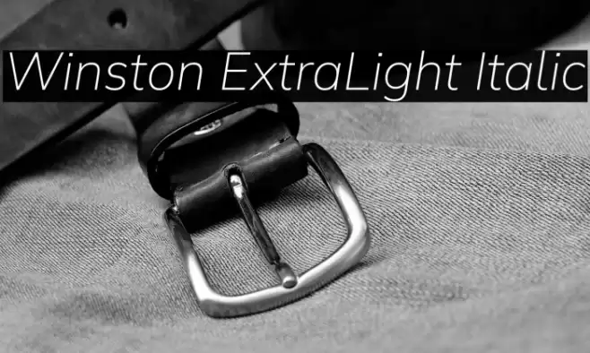 Winston ExtraLight Italic Font examples