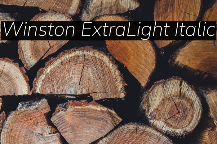 Winston ExtraLight Italic Example 3