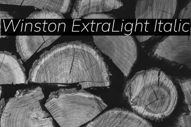 Winston ExtraLight Italic Font examples