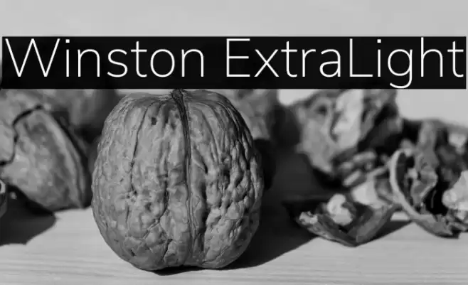 Winston ExtraLight Font examples