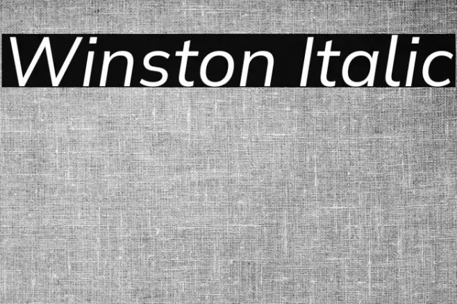 Winston Italic Font examples