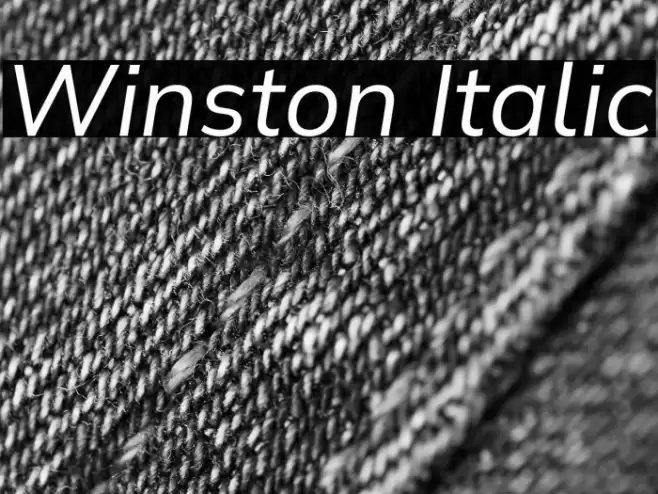 Winston Italic Font examples