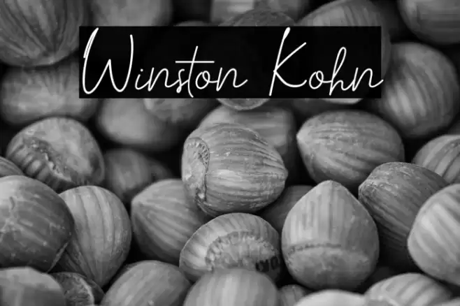 Winston Kohn Fonte examples