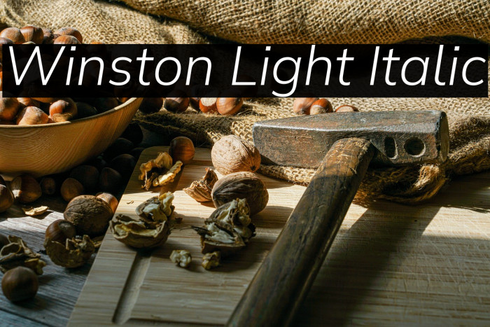 Winston Light Italic Example 3