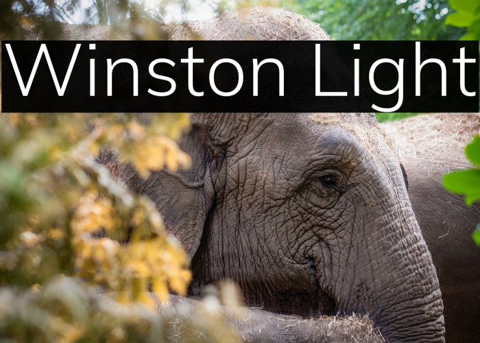 Winston Light Example 1