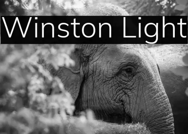 Winston Light Font examples