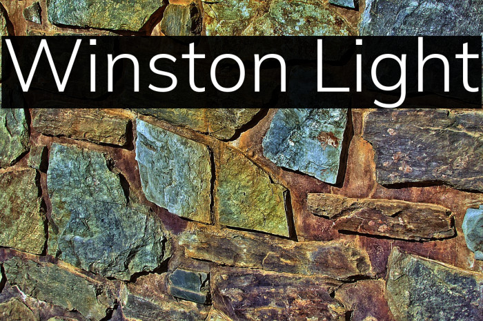 Winston Light Example 2