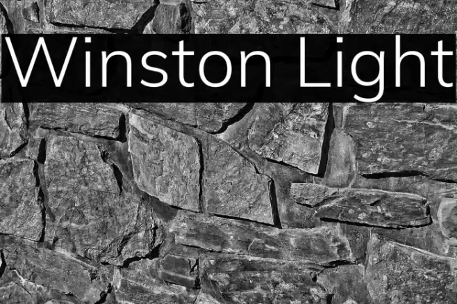 Winston Light Font examples