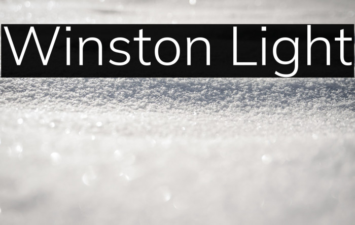 Winston Light Example 3