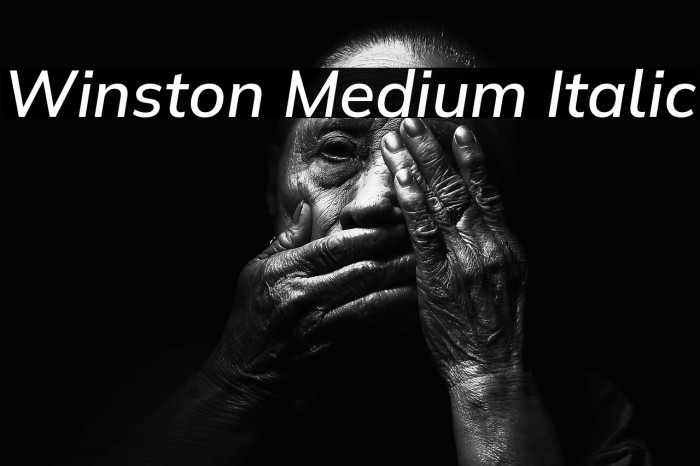 Winston Medium Italic Example 2