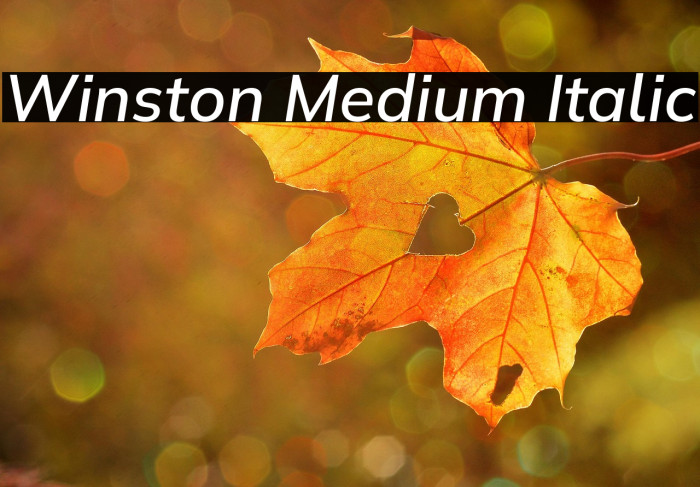 Winston Medium Italic Example 3