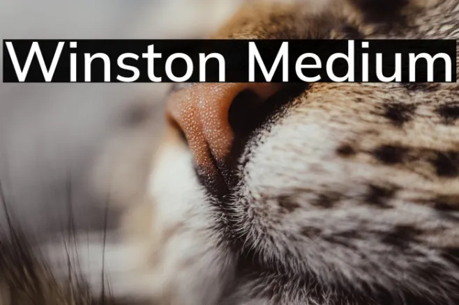 Winston Medium Example 1
