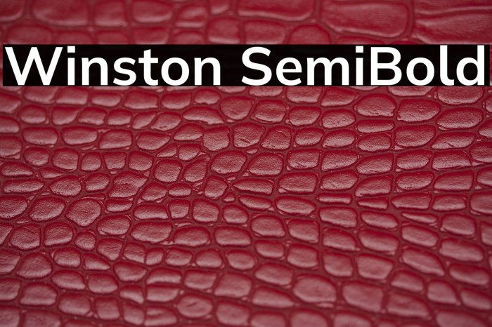 Winston SemiBold Example 2