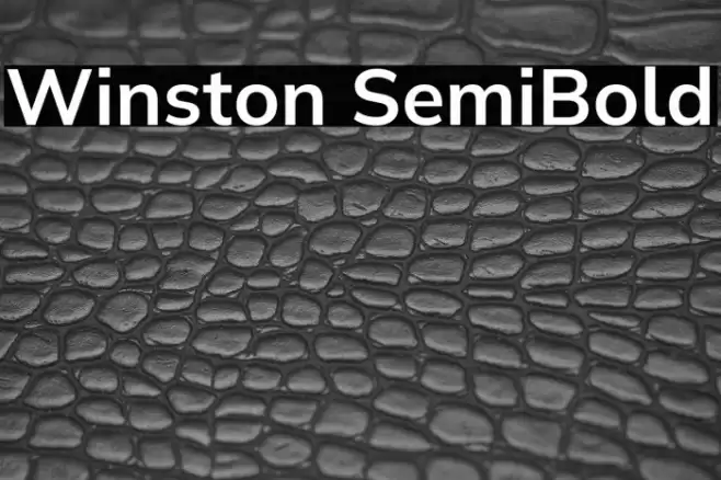 Winston SemiBold Font examples