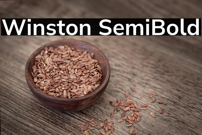 Winston SemiBold Example 3
