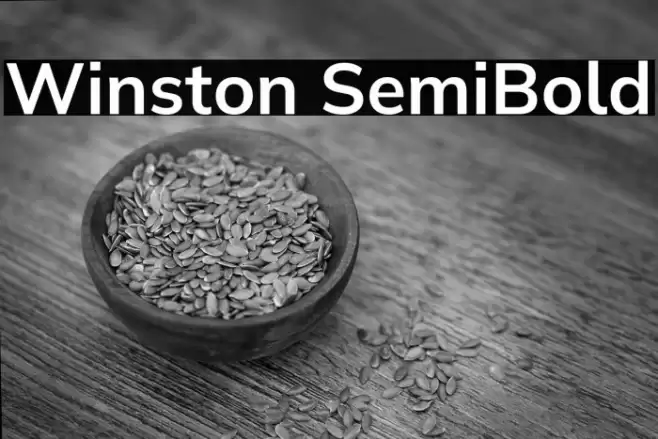 Winston SemiBold Font examples
