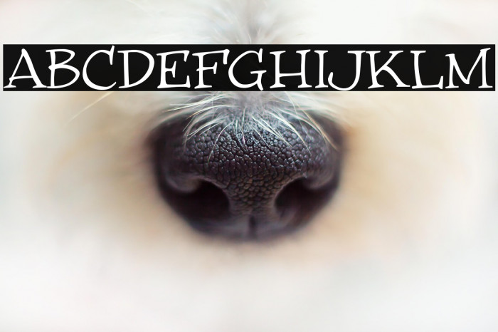 WinstonNero_Trial Example 2