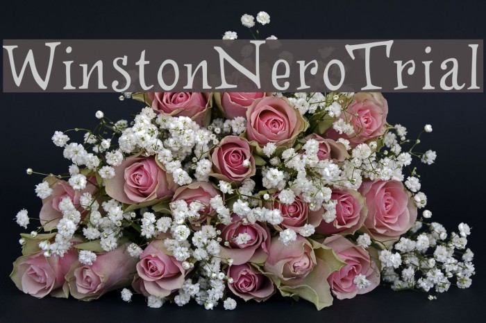 WinstonNero_Trial Example 1