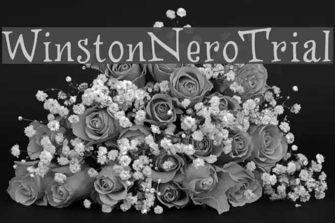 WinstonNero_Trial Font examples