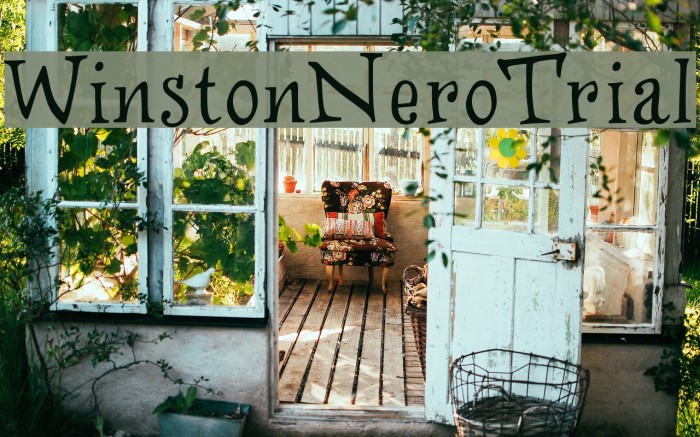 WinstonNero_Trial Example 2