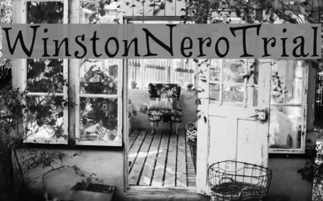 WinstonNero_Trial Font examples