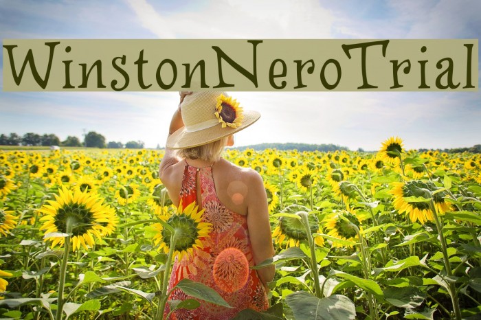 WinstonNero_Trial Example 3