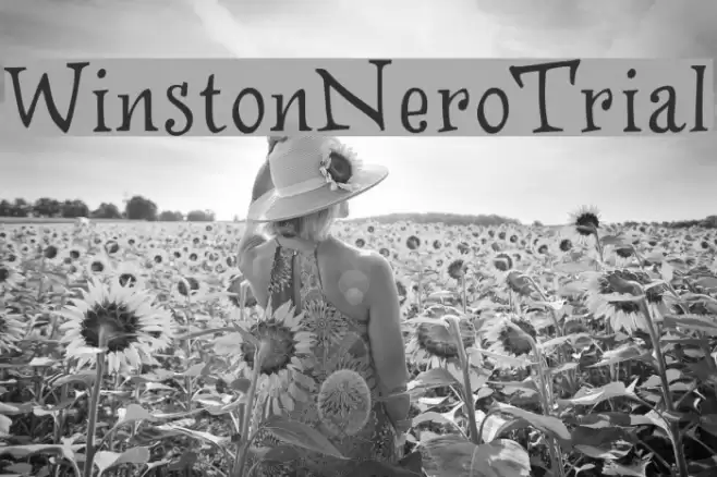 WinstonNero_Trial Font examples