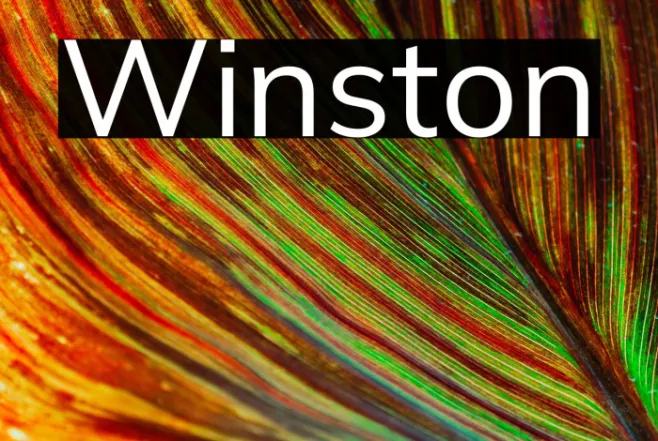 Winston Example 1