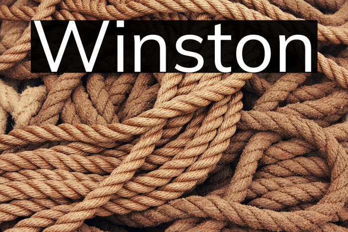 Winston Example 3