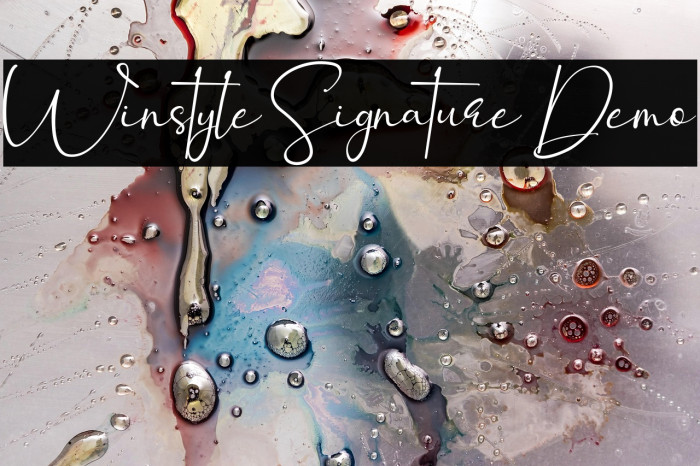 Winstyle Signature Demo Example 1