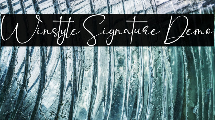Winstyle Signature Demo Example 2