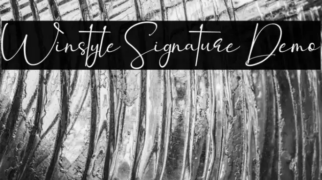 Winstyle Signature Demo Font examples