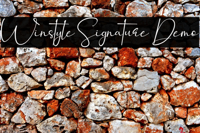 Winstyle Signature Demo Example 3
