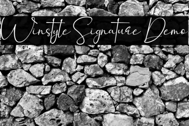 Winstyle Signature Demo Font examples
