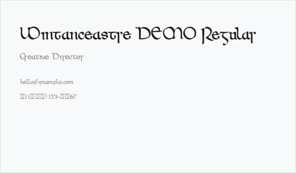 Wintanceastre DEMO Regular Business Card