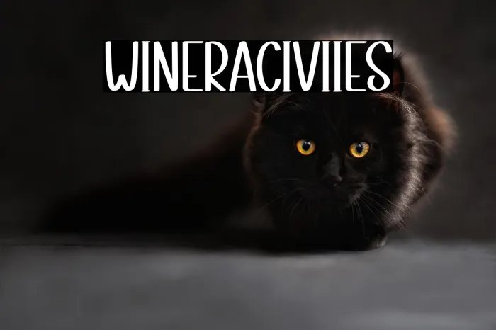 Winter Activities Example 1