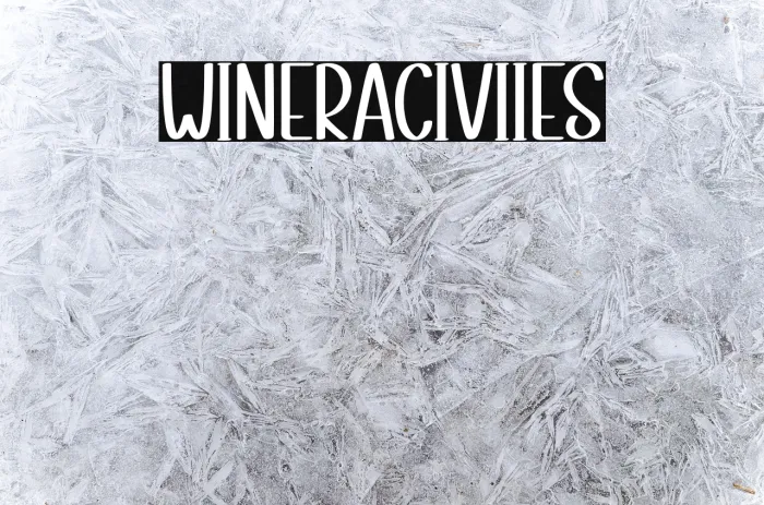 Winter Activities Example 3