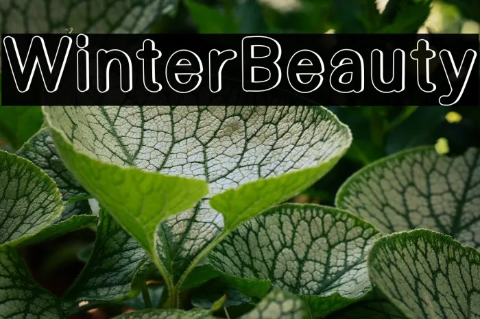 Winter Beauty Example 1