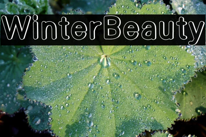 Winter Beauty Example 2