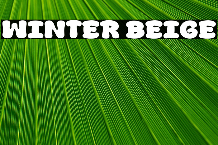 Winter Beige Example 1