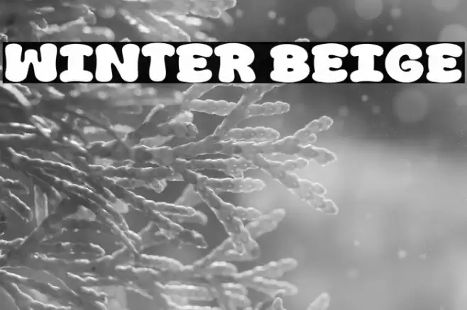 Winter Beige Font examples