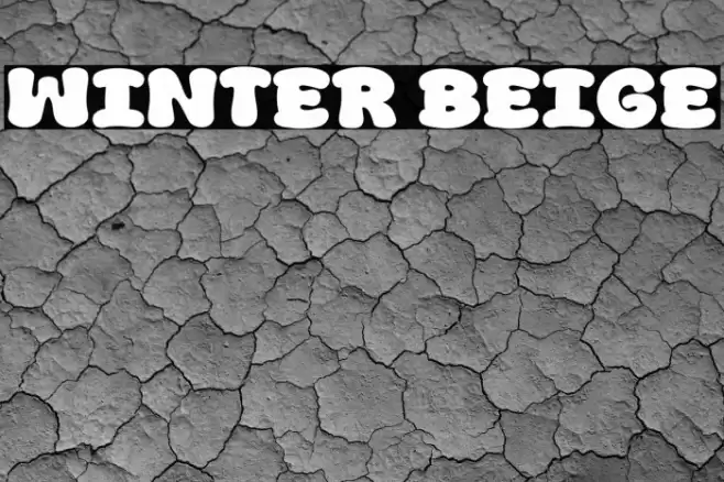 Winter Beige Font examples