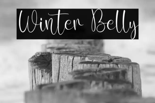 Winter Belly Font examples