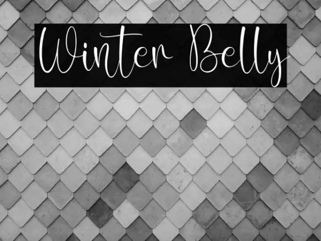 Winter Belly Font examples